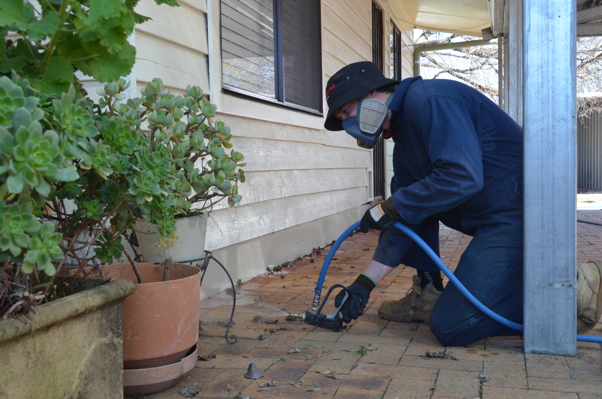 Building & Pest Inspections by Dynamic Pest Company